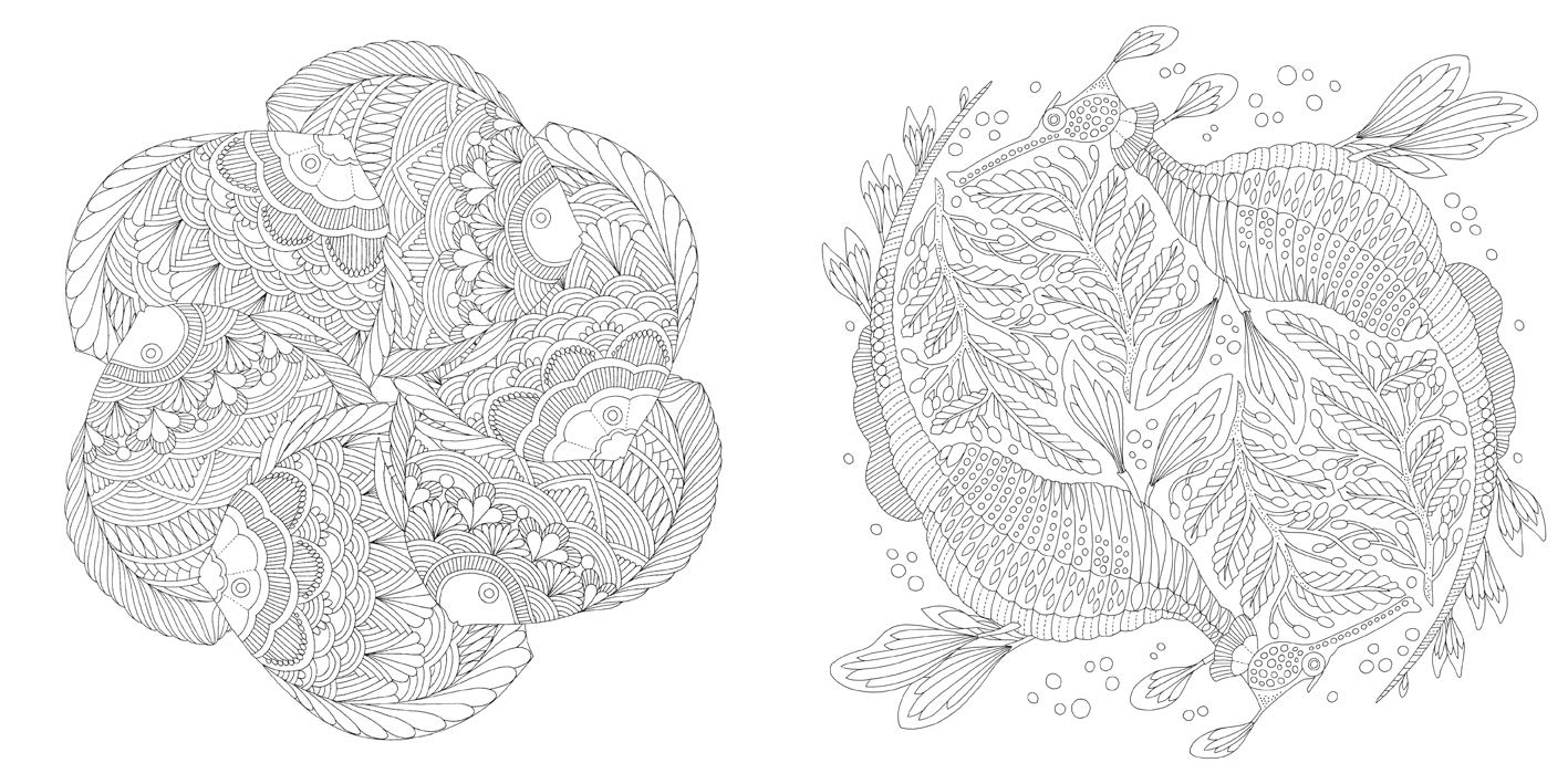 Wildlife Wonders - ilustrace z knihy